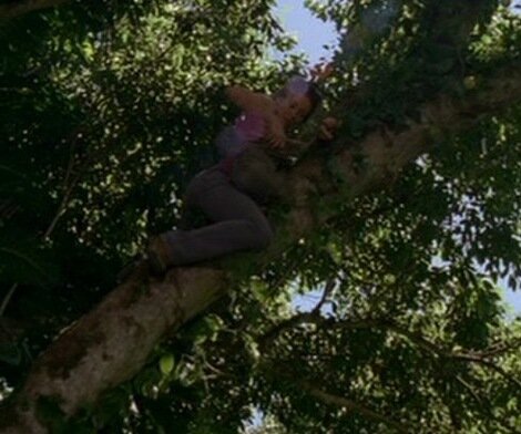 Та самая сцена, о которой мы упомянули выше
 