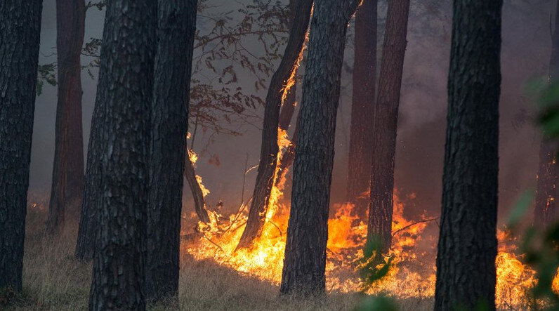 https://www.zeit.de/gesellschaft/zeitgeschehen/2018-07/waldbrand-potsdam-feuer-hubschrauber-bundeswehr