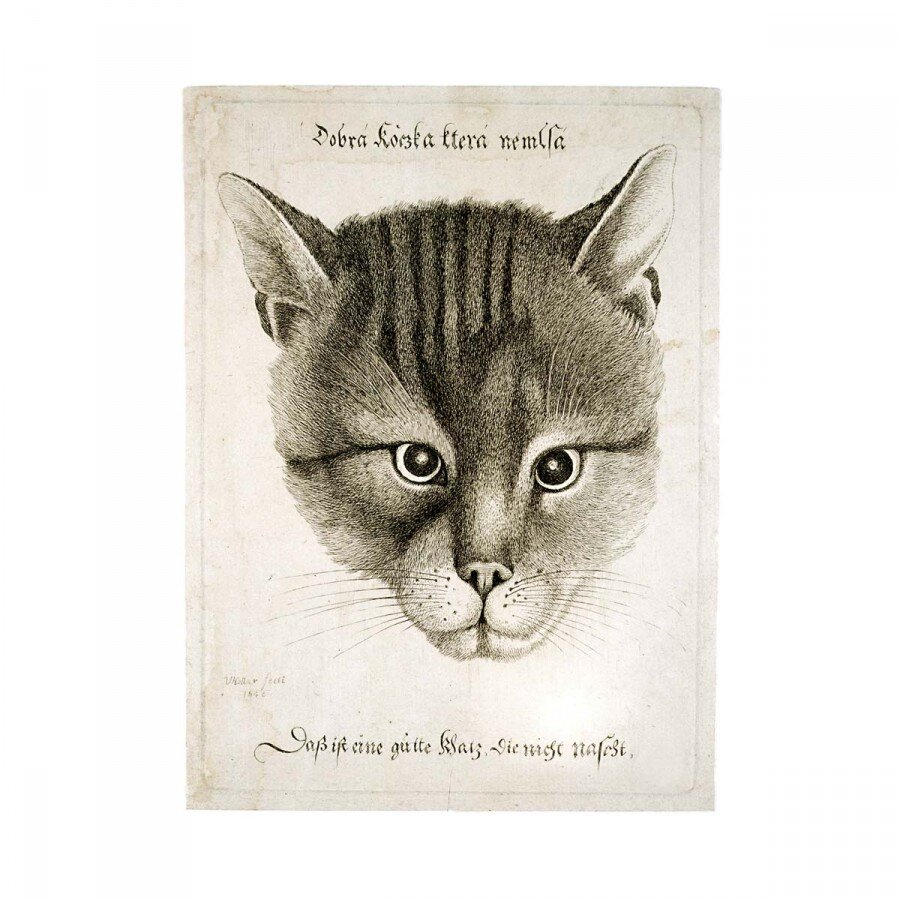 Гравюра царского кота