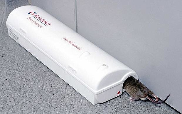 Гуманная мышеловка