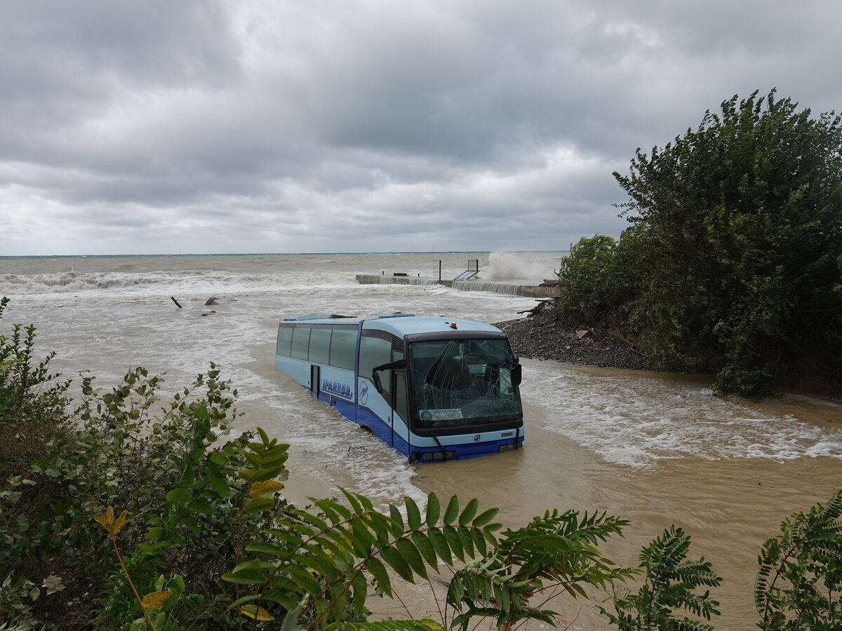 автобус к морю