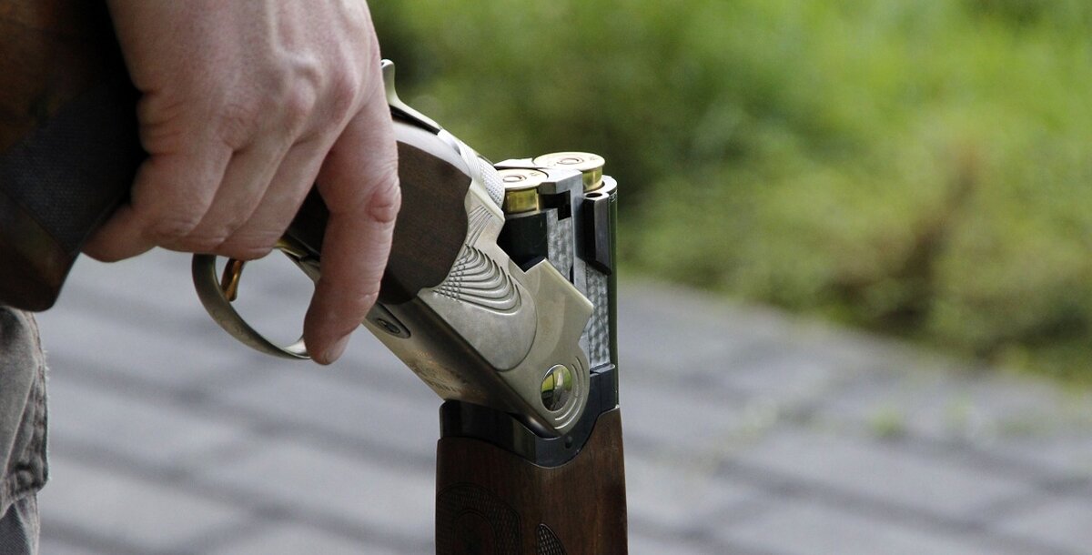 Фото: pixabay.com