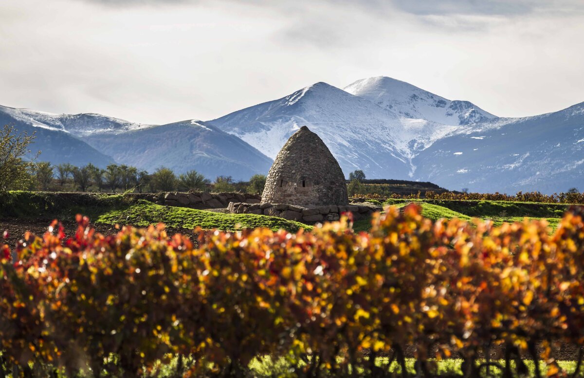 Риоха – самый престижный винодельческий регион Испании, производит вина высочайшего качества с большим потенциалом к выдержке.