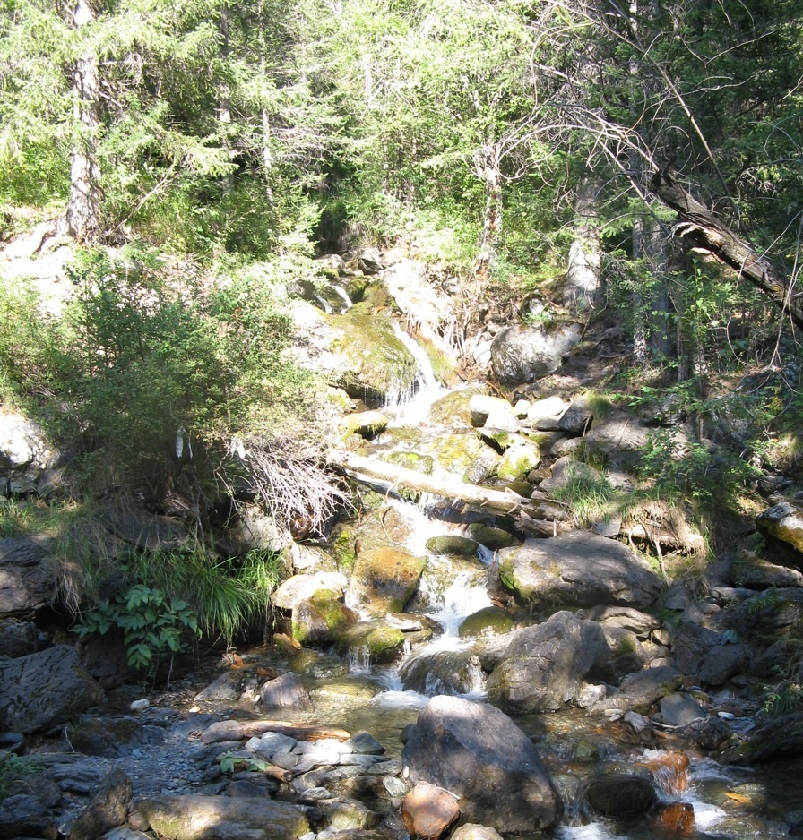 Водопад на реке Боки. Доступность НП. 50.359109, 87.363133
