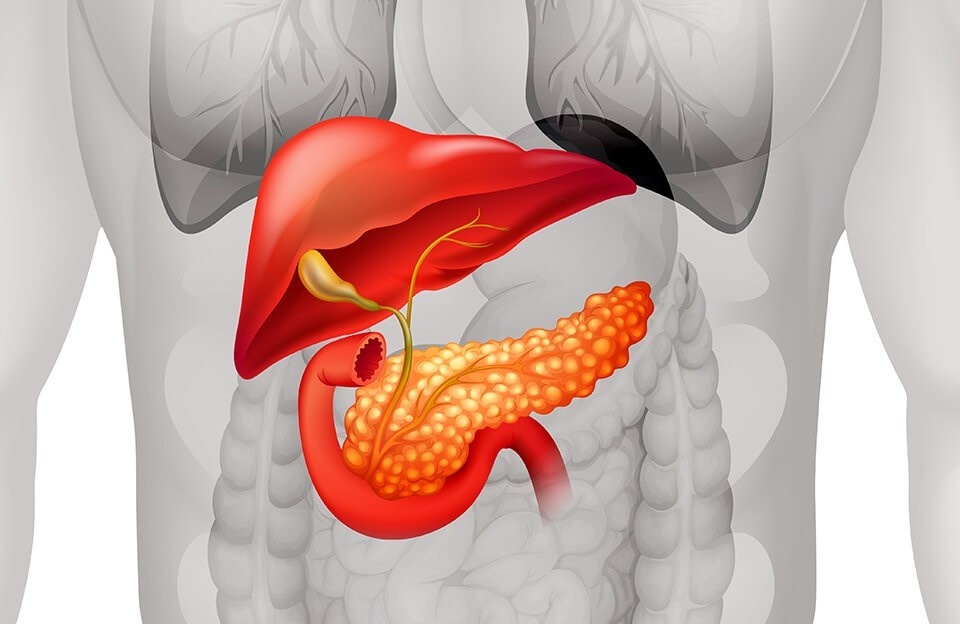 Здоровье поджелудочной