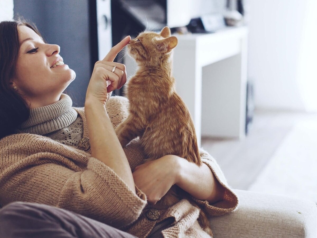 изображение с яндекс.картинки