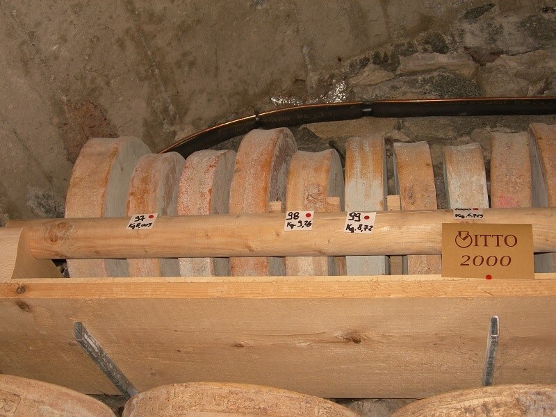 Bitto Storico, возможно, не такой древний сыр, как другие в этом списке, но он считается старейшим в мире съедобным сыром. Этот сыр из долины Вальтеллина в Италии может выдерживаться до 18 лет, что значительно дольше, чем у любого другого сыра на рынке. Тем не менее, большинство Битто Storico для продажи составляет от 5 до 10 лет.  Поскольку Bitto Storico сделан из комбинации коровьего и козьего молока, он может выдерживаться гораздо дольше. Битто обычно содержит около 10-20% козьего молока. Сегодня в Италии всего 12 производителей Bitto Storico.