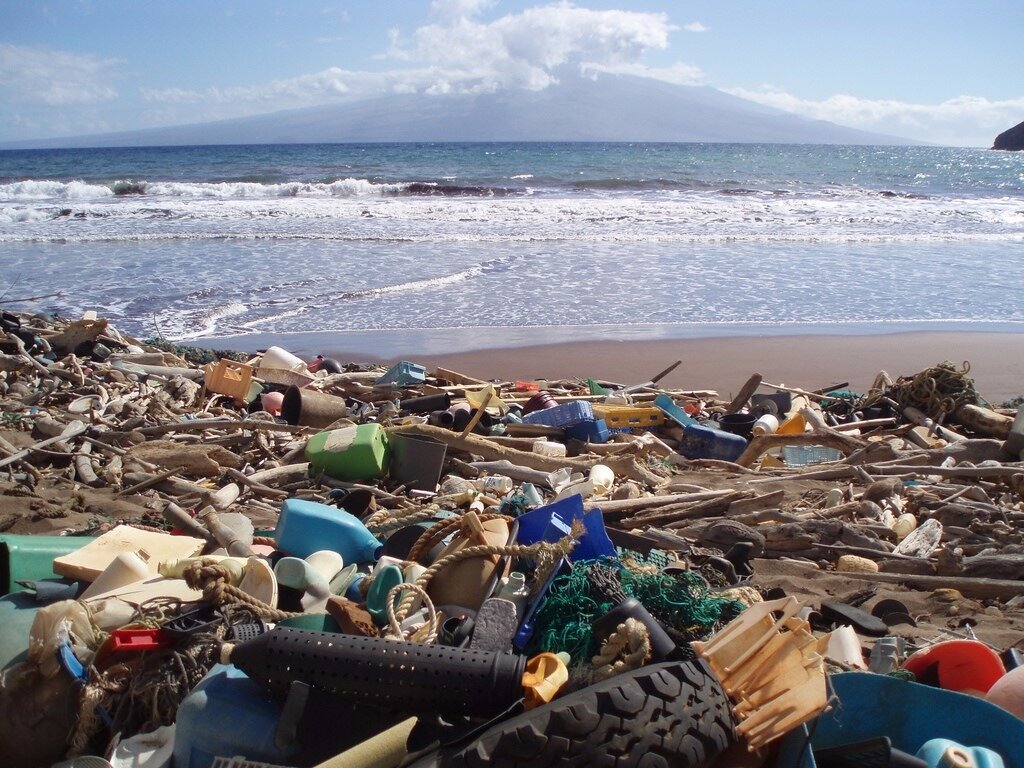 The plastic pollution problem is especially bad in the oceans, as seen from the marine debris accumulated on a beach of the remote island of Kaho’olawe in Hawaii. (Image credit: NOAA)