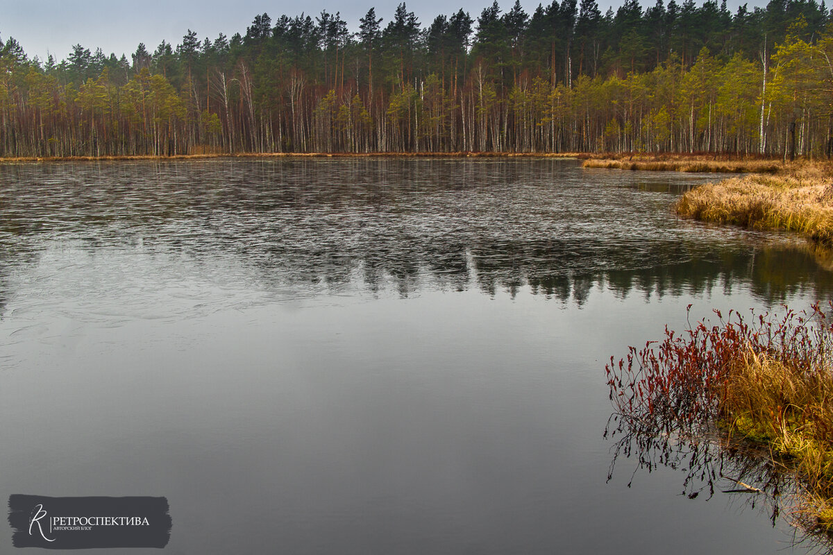 Озеро Бойня в окрестностях поселка Суслонгер. В годы войны здесь размещались склады и прочая инфраструктура 31 ЗСБр.  Источник - https://vk.com/retrospektive