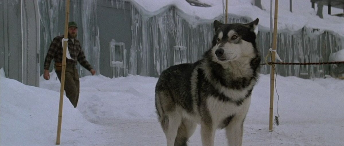 Фото с сайта darim.info