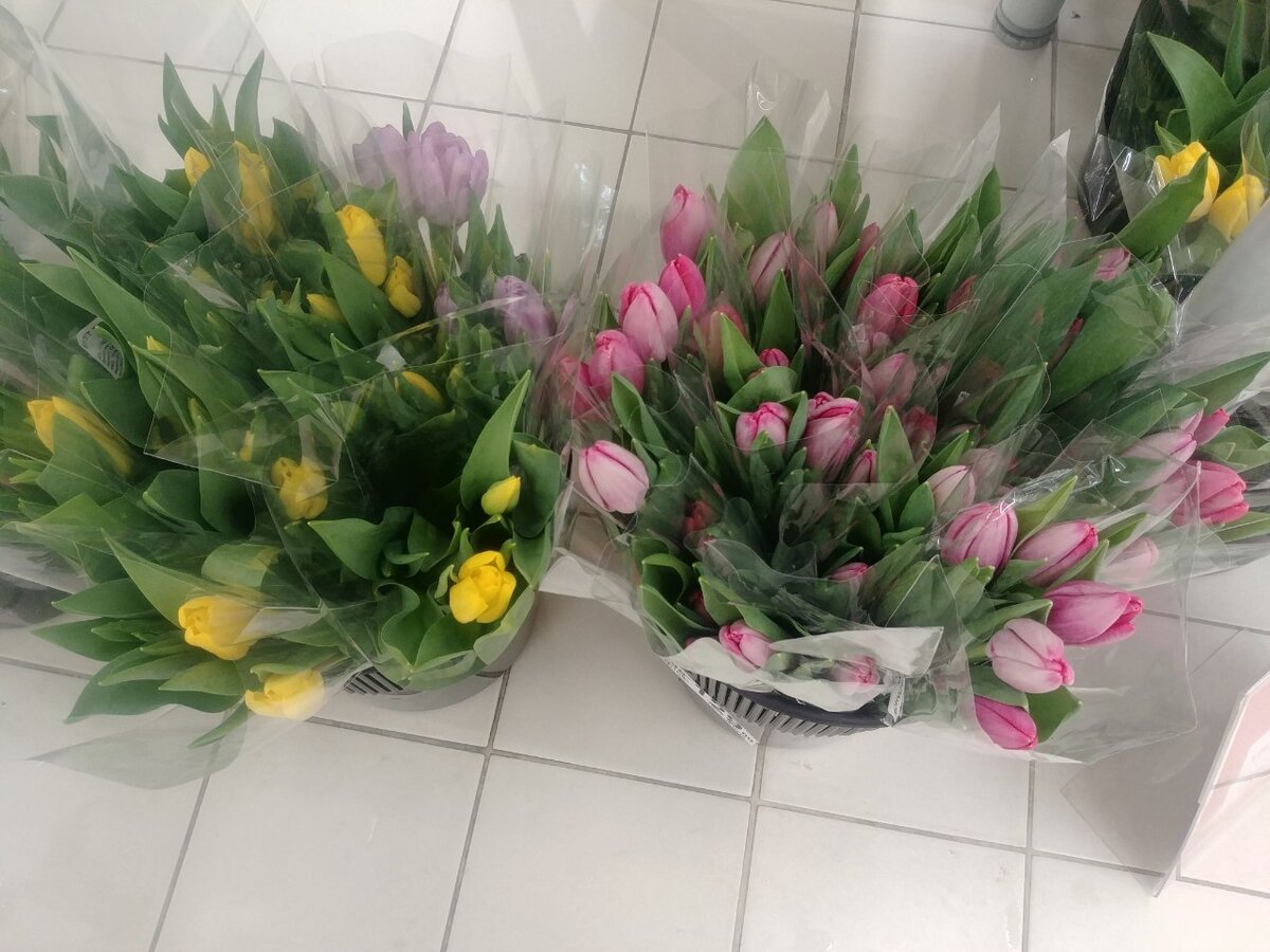 Тюльпаны в Ашане в преддверии 8 Марта. Фото из личного архива 