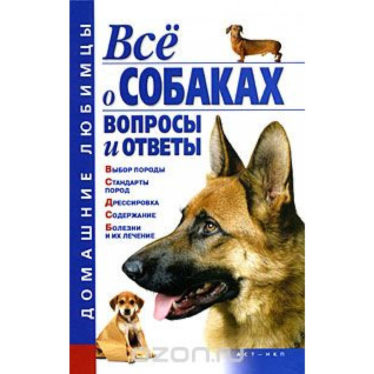 Фото из Яндекс-картинки