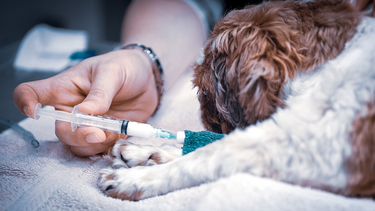 Фото: Airman 1st Class Ashley Thum.