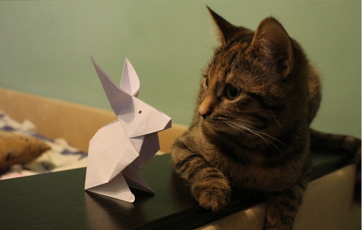 Счастье оригами. Как сделать зайца из бумаги. Кровать оригами з. Сделать морду из бумаги.
