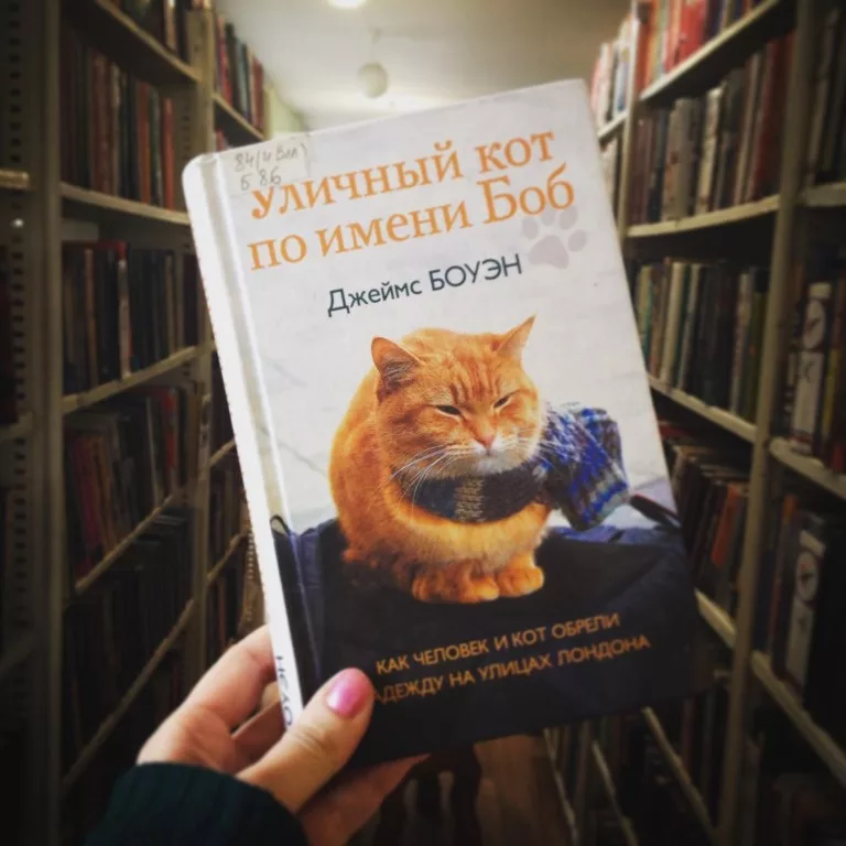 Книга про боба. Джеймса Боуэна «уличный кот по имени Боб». Уличный кот по имени Боб книга.
