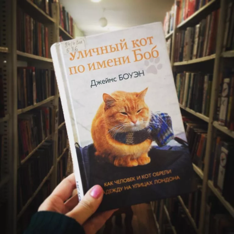 Джеймс Боуэн, «кот по имени Боб». Боуэн уличный кот по имени Боб. Уличный кот по имени Боб книга. Книга Джеймс Боуэн, «кот по имени Боб».