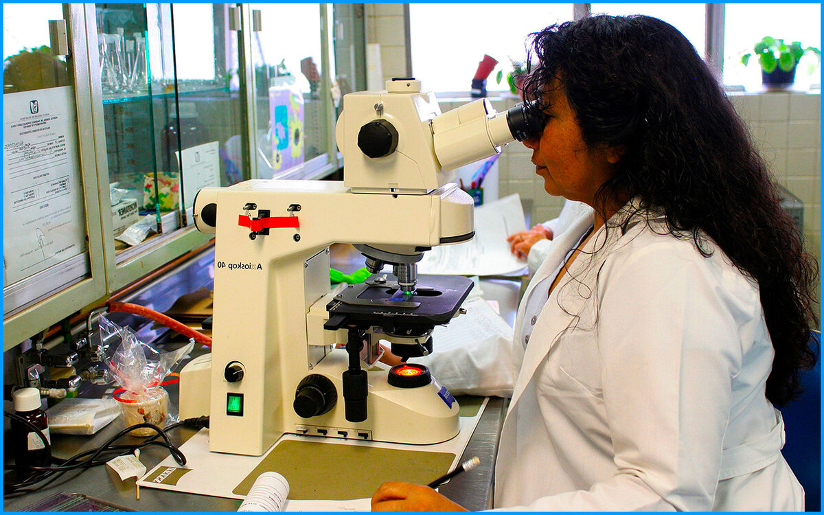 Яндекс.Картинки