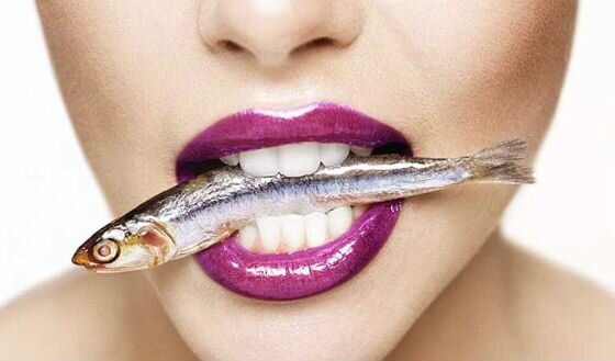 Фото взято из Яндекс.Картинки