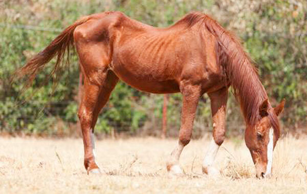 Источник фото сервис Яндекс.Картинки