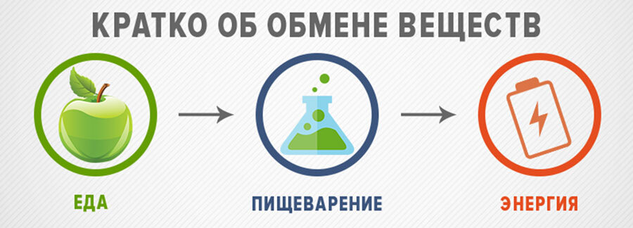 Картинка с сайта sportivnoepitanie.ru