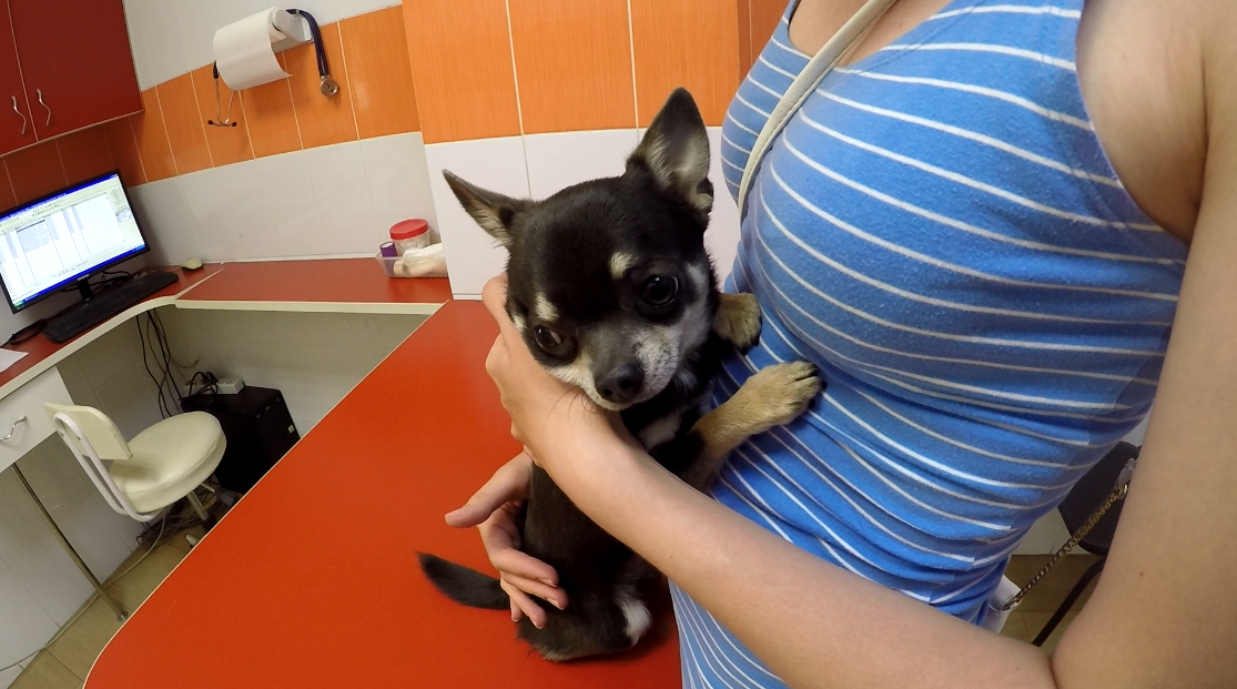 Майк стал, очень боятся врачей. Он то знает, что они могут многое.