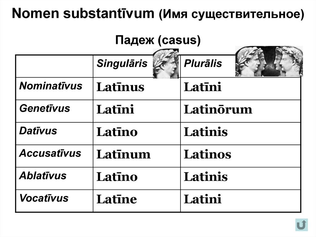 Pars перевод с латинского. Nominativus Pluralis латынь. Таблица genetivus Singularis. Nominativus genetivus. Accusativus и Ablativus латынь.