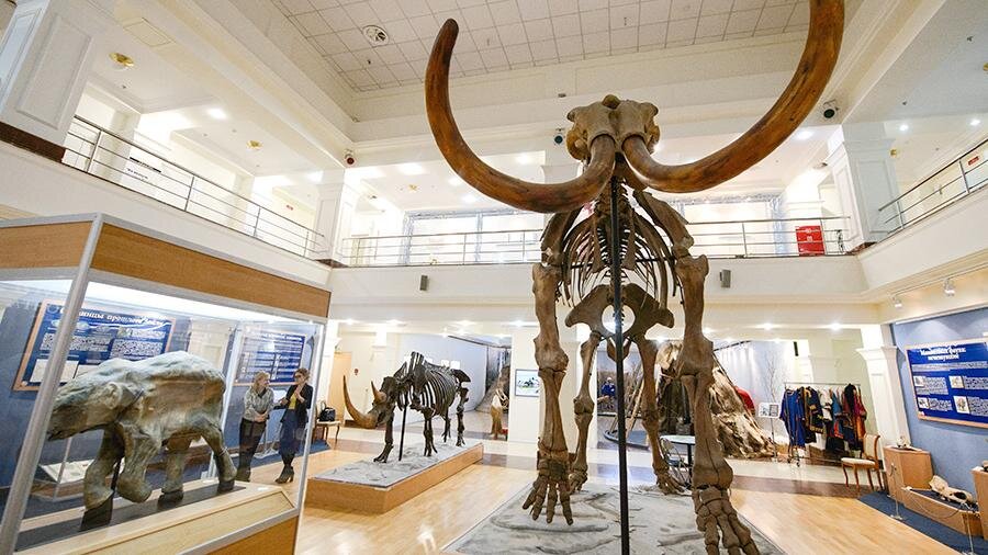 Томские палеонтологи выдвинули новую версию гибели древних животных 