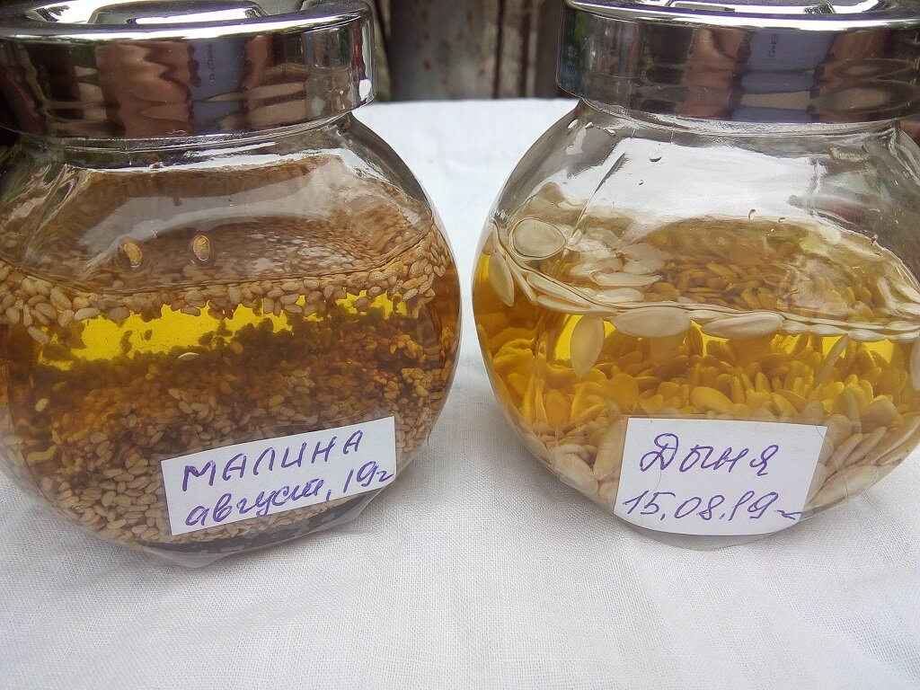 Косметические экстракты... делаем сами.