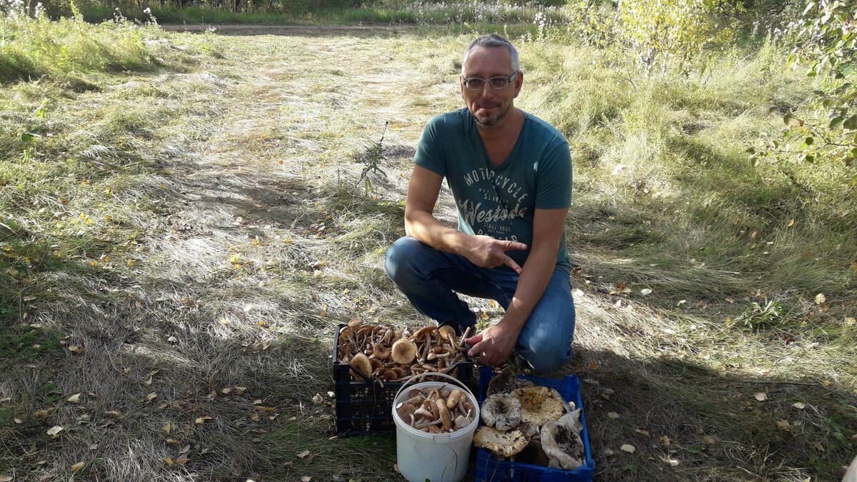Поездка за грибами в Томинский лес, который ныне уничтожили