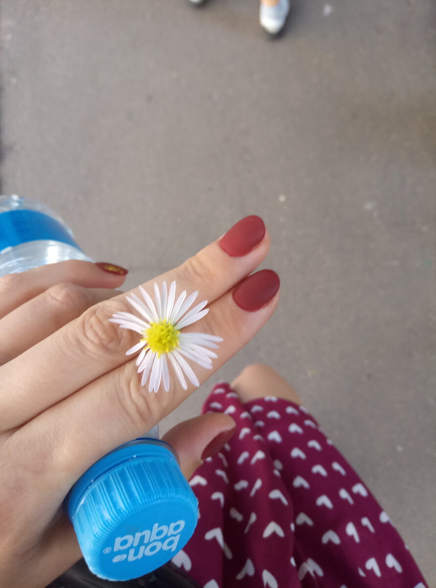 К сожалению фото яиц не нашлось. 