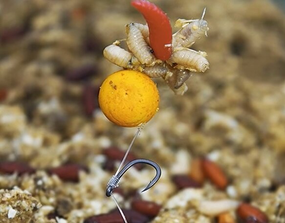 наживка для линя