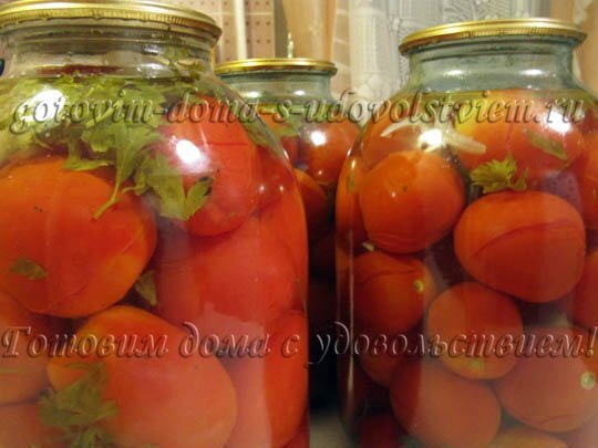 Помидоры с луком, зеленью и растительным маслом