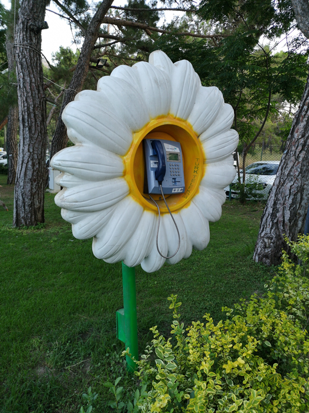 фото из личного архива