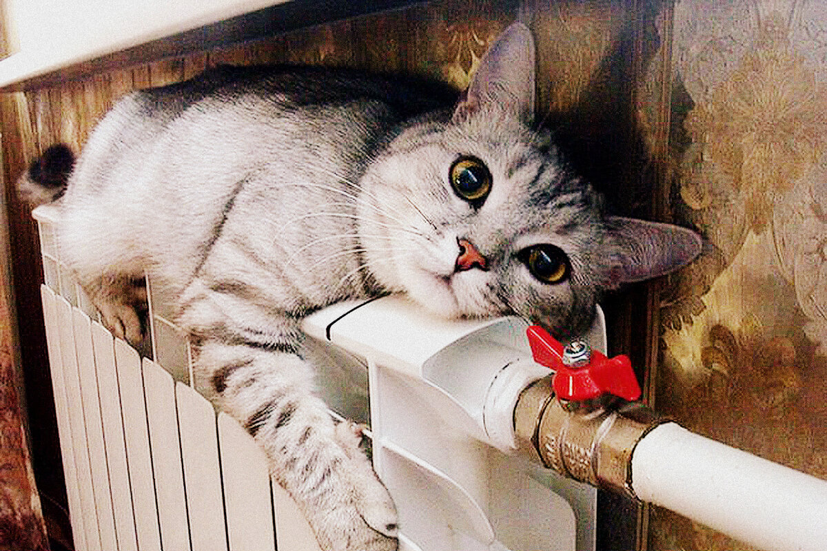 Украинцев обязали платить за отопление даже в домах без батарей ...