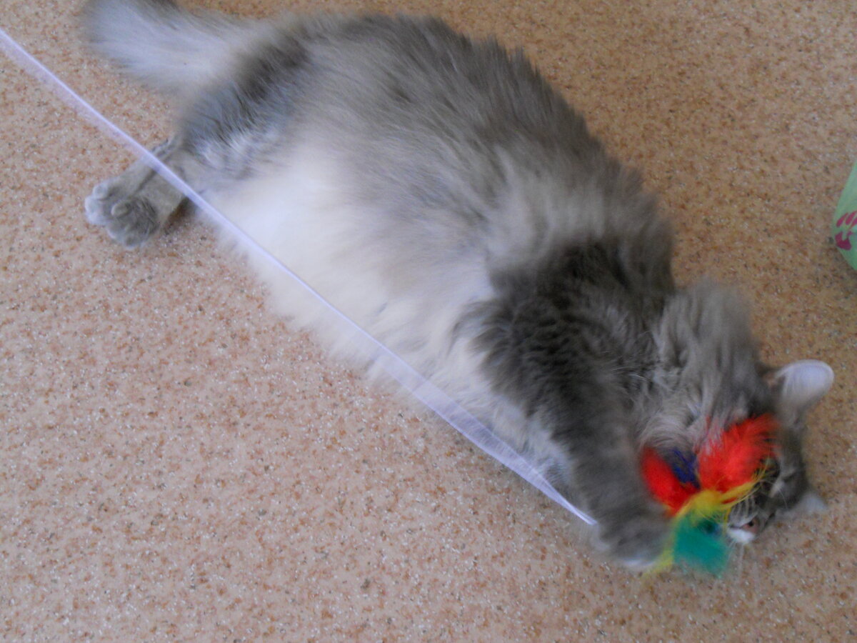 "Кажется, кто-то слишком много ест"