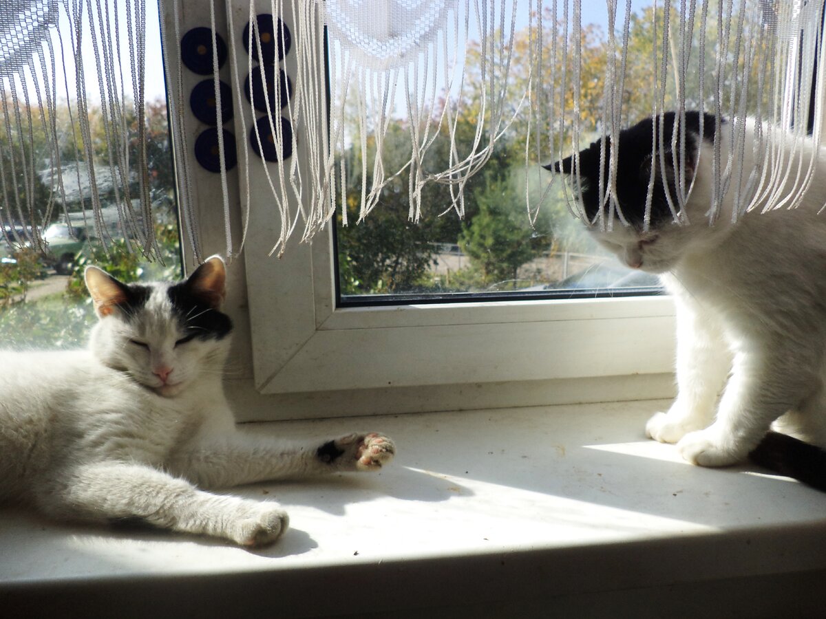 Лота: "А если есть возможности, питайтесь многоцветием!"