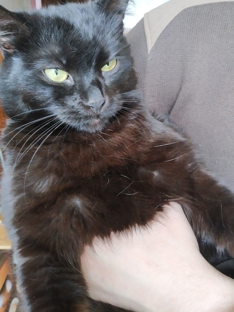  Они разбудили вселенское зло!