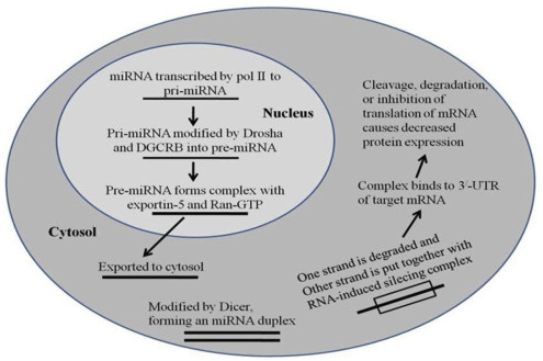 https://www.sciencedirect.com/science/article/pii/S2543106418300024