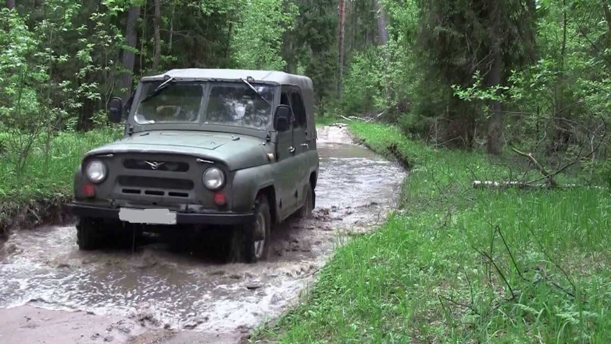 Фото взято из открытого бесплатного источника в Интернете. 