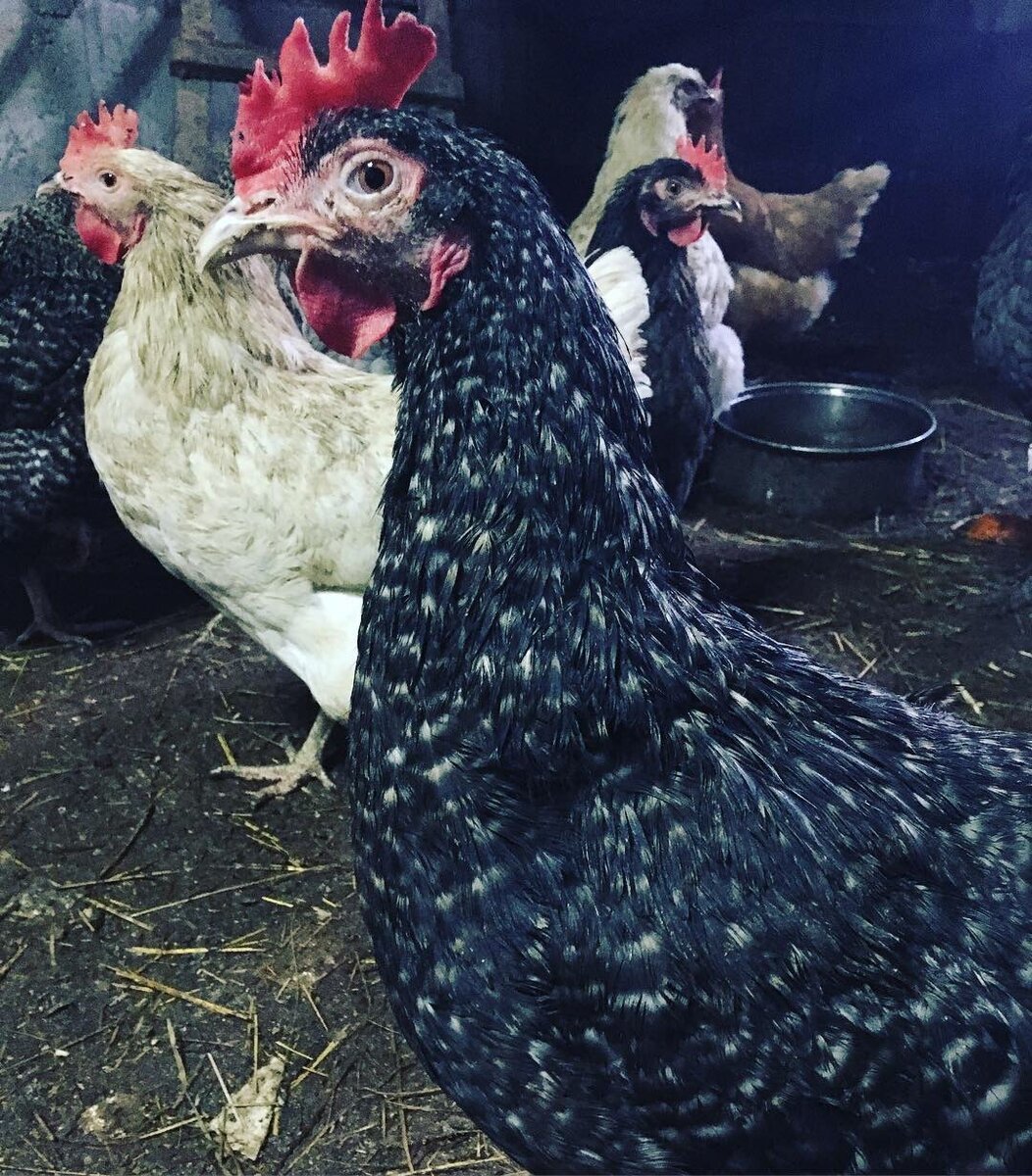 Из личного архива.