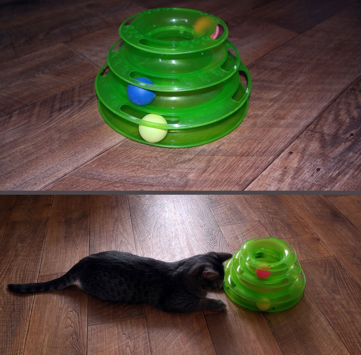 Специальная игрушка для кошек