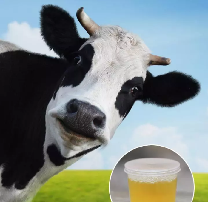 Источник фото: Shutterstock