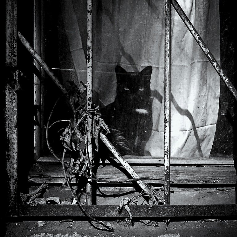 Источник: Яндекс.Картинки 