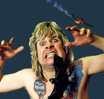 Сплошной белок!