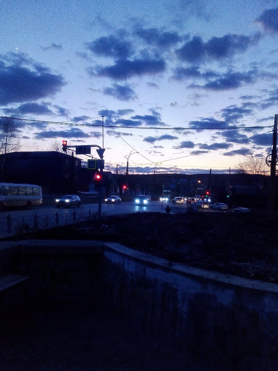 Фиолетовое небо весны.