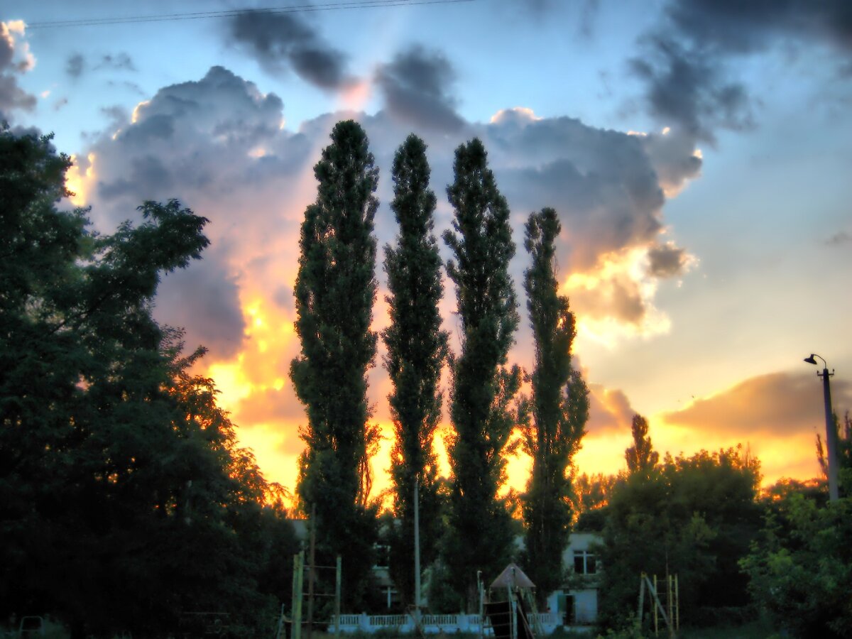 Величественные символы родного двора