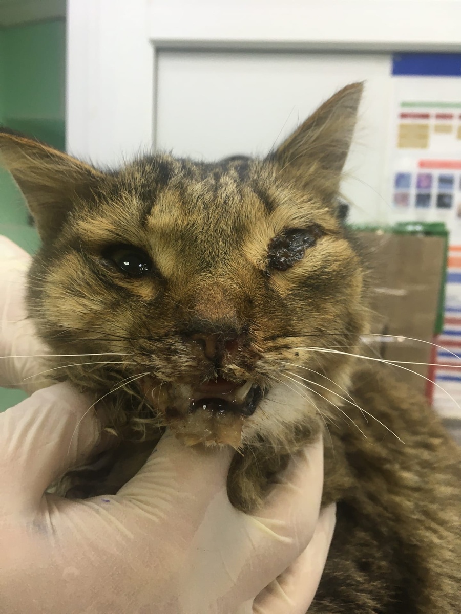 Клиника "Друг" , город Пермь