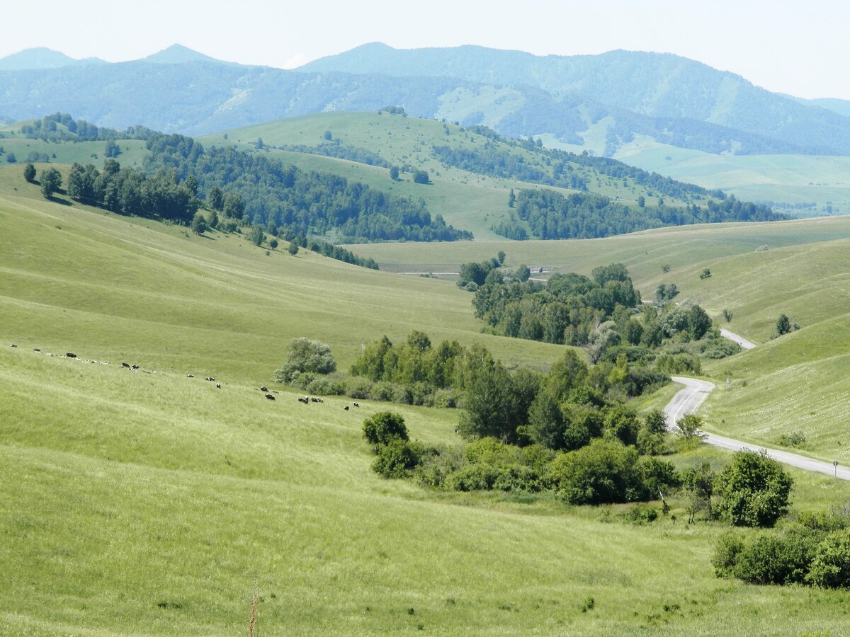 Село алтайское прогноз. Бирюксинский перевал Алтайский край. Село Алтайское Алтайский край. Село Алтайское Алтайский край Алтайский район туризм. Площадь село Алтайское Алтайский край.