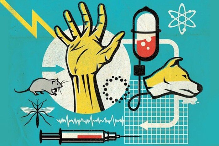 Сам процесс.