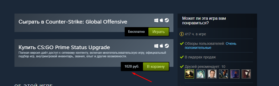 цена на прайм csgo